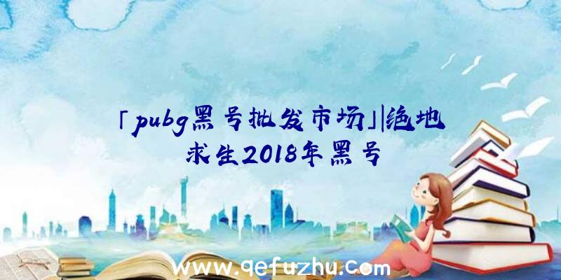 「pubg黑号批发市场」|绝地求生2018年黑号